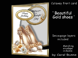 Cutaway Beautiful gold shoes