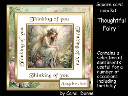 SC Thoughtful Fairy