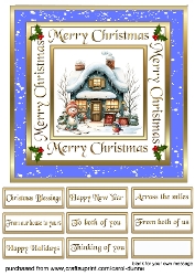 SC Christmas shop