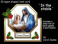 Octagon tent In the stable