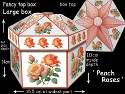 FTBL Peach Roses