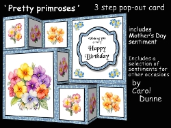 TSF Pretty primroses