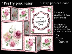 TSF Pretty pink roses