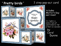TSF Pretty birds