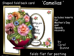 Shaped fold back Camelias