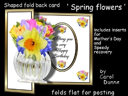 SFB Spring flowers