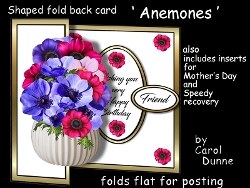 SFB Anemones