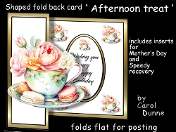 SFB Afternoon treat