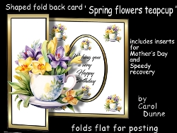 SFB Spring flowers
