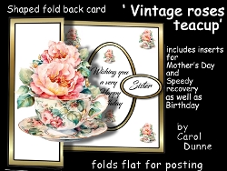 Image of cup320912_173 - SFB Vintage roses teacup