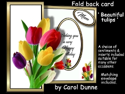 FBG Beautiful tulips