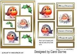 Three squares Cute Robins