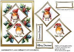 cup1467835_173 - Two Squares Festive robins