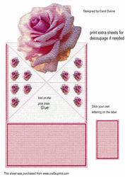 Pink Rose