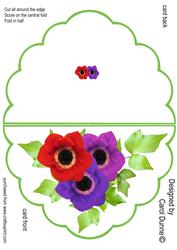 Anemone Quick Card