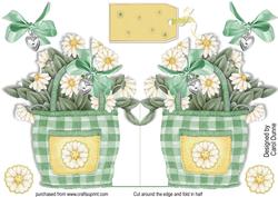 Basket of Daisies