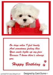 Puppy in a Red Bag Birthday