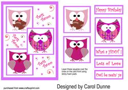 Three Squares Owls (pink)