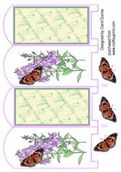 Butterflies and Phlox