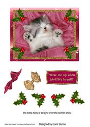 Wake Me Up When Santa's Been
