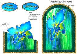 Cutaway Irises