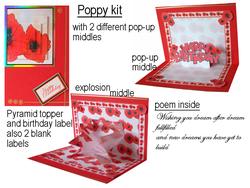 Poppy Pop-up Kit