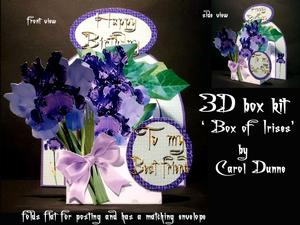 3D Box ' Irises'