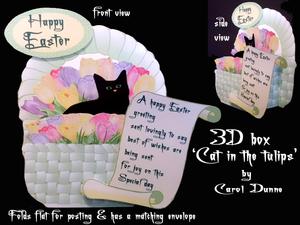 3D Box 'cat in the Tulips'