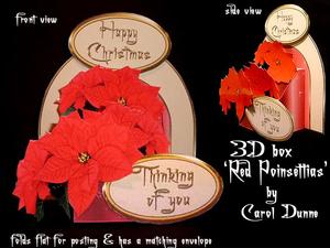 3D Box 'red Poinsettias'