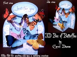 3D Box of Butterflies