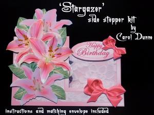 'stargazer' Side Stepper Kit