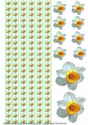 Daffodils with Green Ribbons
