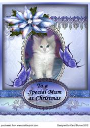 Kitten, Butterflies and Poinsettias
