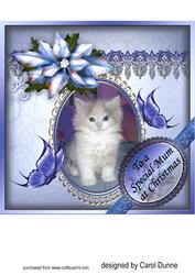 Kitten, Butterflies and Poinsettias 8x8 Inches