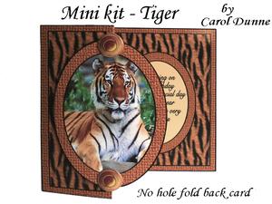 Tiger Mini Kit- No Hole Fold Back