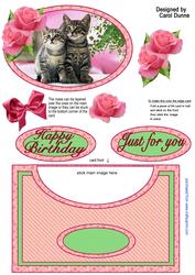 Kittens and Roses No Hole Over the Edge
