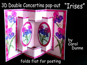 3D Double Concertina Pop-out
