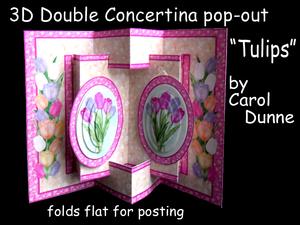 3D Double Concertina Pop-out