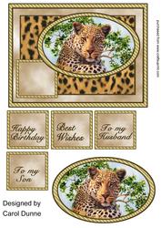 Leopard Quick Card