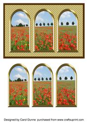 Three Arches Card - Poppy Field