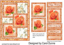 Three Squares - Peach Roses