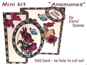 Mini Kit Anemones