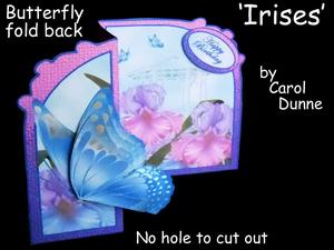 Butterfly Fold Back irises