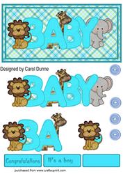 Baby Boy Dl Card