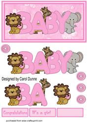 Baby Girl Dl Card