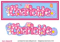 Charlotte Birthday Flowers Dl
