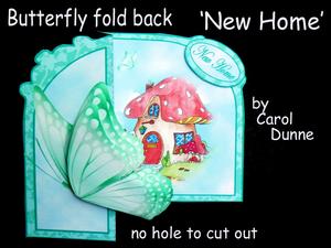 Butterfly Fold Back new Home