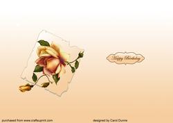 Insert Autumn Rose on Paper and Lace