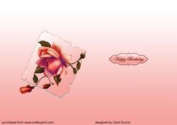 Insert Pink Rose on Paper and Lace