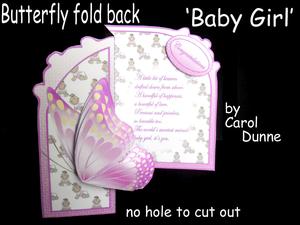 Butterfly Fold Back baby Girl